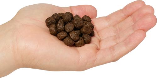 Hi-Energy Adult Gluten-Free Beef Dry Dog Food, 40-lb bag