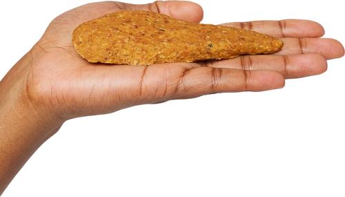 Slow Roasted Salmon Jerky Dog Treats, 16-oz bag