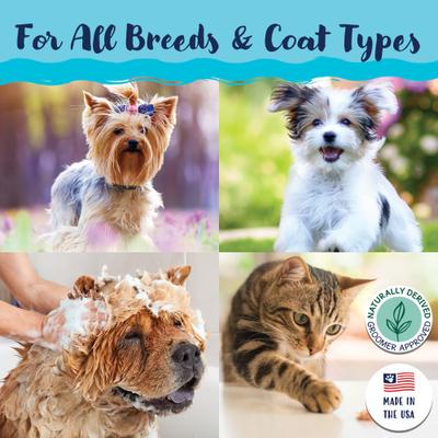 Signature Stinky Dog Shampoo, 13-fl oz bottle