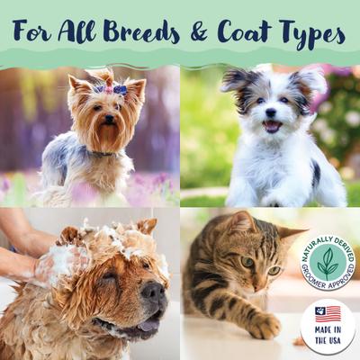 Signature Itchy Dog Grooming Spray, 8-fl oz bottle