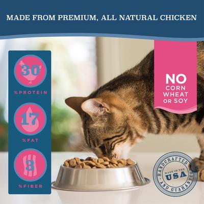 Chicken Meal & Rice Recipe Adult Dry Cat Food, 13.22-lb bag