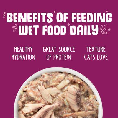 Mideast Feast Grilled Tilapia in Gravy Grain-Free Wet Cat Food, 3-oz, case of 4