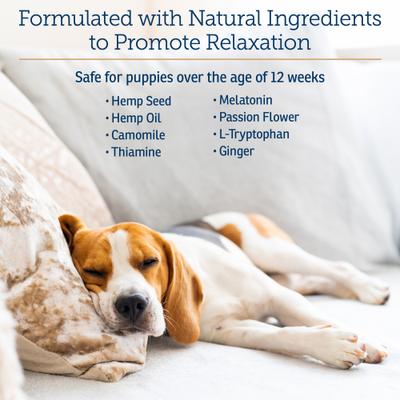 Nutricalm Soft Chews Supplement for Dogs, 120 count