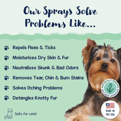 Signature Itchy Dog Grooming Spray, 8-fl oz bottle