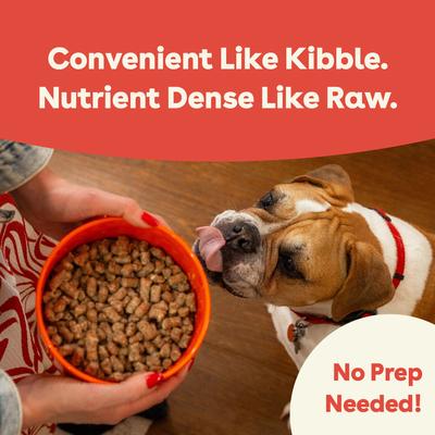 Good Dog Food Beef Recipe Freeze-Dried Dog Food, 25-oz bag