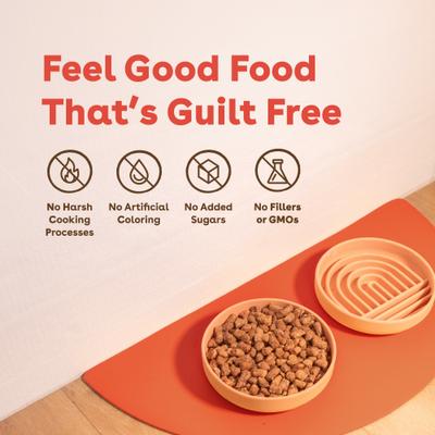 Good Dog Food Beef Recipe Freeze-Dried Dog Food, 25-oz bag