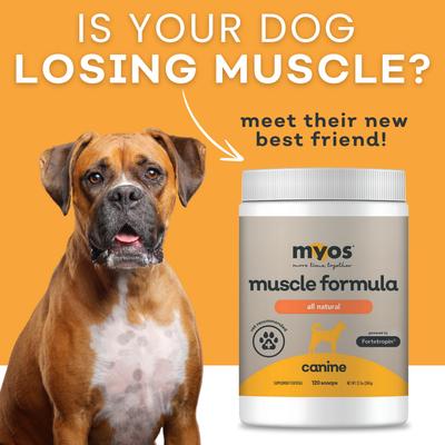 Canine Muscle Formula Dog Supplement, 12.7-oz