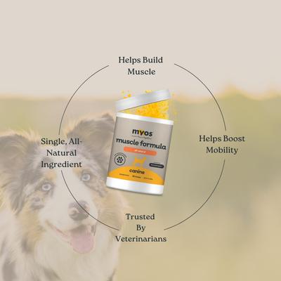 Canine Muscle Formula Dog Supplement, 12.7-oz