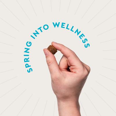 Skin & Coat Soft Chew Supplement for Dogs, 60 Count