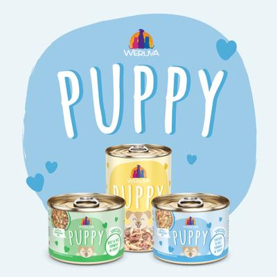 Puppy Chicken & Rice Formula in Gravy Wet Dog Food, 14-oz can, case of 10