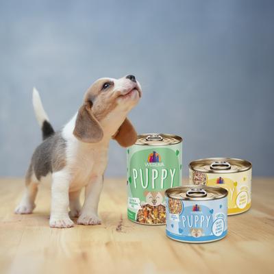 Puppy Chicken & Rice Formula in Gravy Wet Dog Food, 14-oz can, case of 10