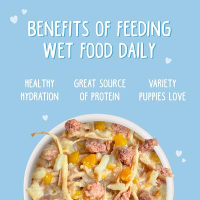Puppy Chicken & Rice Formula in Gravy Wet Dog Food, 14-oz can, case of 10