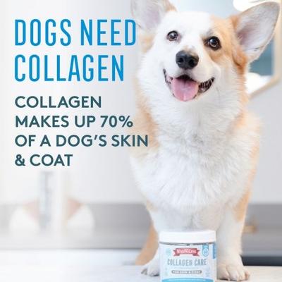Collagen Care Soft Chews Skin & Coat Supplement for Dogs, 60 count