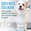 The Missing Link, Collagen Care Skin & Coat Soft Chews, colágeno tipo I y III + omegas + aceite de coco, 60 masticables.