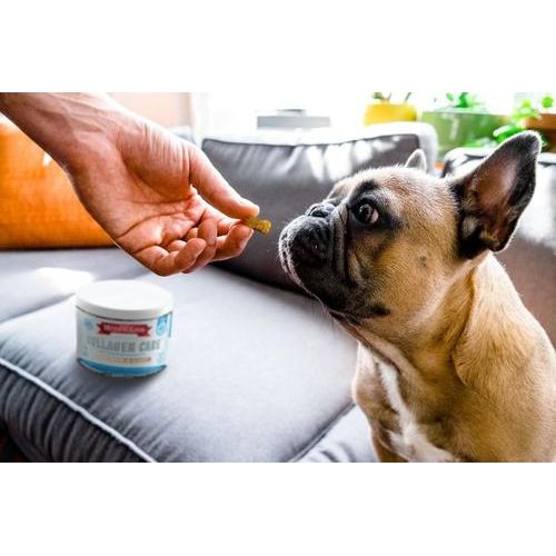 The Missing Link, Collagen Care Skin & Coat Soft Chews, colágeno tipo I y III + omegas + aceite de coco, 60 masticables.