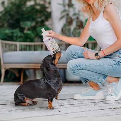 Live. Love. Groom. All-In-1 Waterless Foam Dog & Cat Dry Shampoo, Lavender Mint Scented, 500-mL bottle