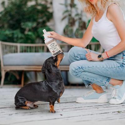 Live. Love. Groom. All-In-1 Waterless Foam Dog & Cat Dry Shampoo, Unscented, 500-mL bottle