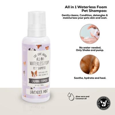 Live. Love. Groom. All-In-1 Waterless Foam Dog & Cat Dry Shampoo, Lavender Mint Scented, 500-mL bottle