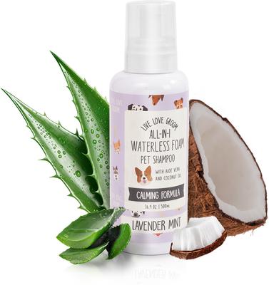 Live. Love. Groom. All-In-1 Waterless Foam Dog & Cat Dry Shampoo, Lavender Mint Scented, 500-mL bottle