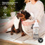 Live. Love. Groom. All-In-1 Waterless Foam Dog & Cat Dry Shampoo, Unscented, 500-mL bottle