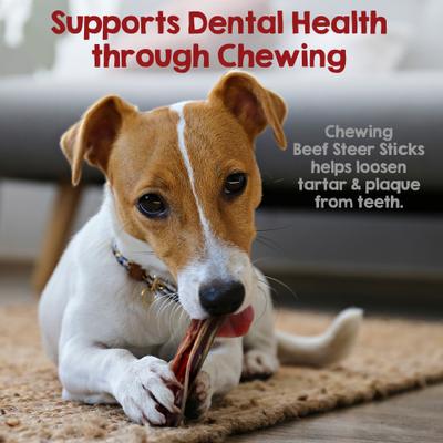 Steer 5 to 6-in Bully Sticks Dog Chews, 12 count