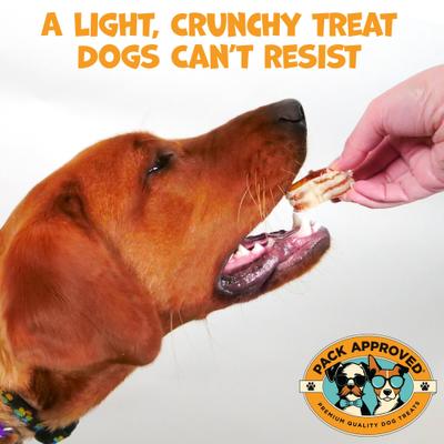 Beef Trachea Smoke Ring Dog Chews, 10-oz pack