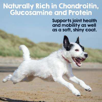 Steer 5 to 6-in Bully Sticks Dog Chews, 12 count