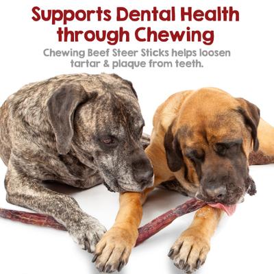 Steer 12-in Bully Sticks Dog Chews, 5 count