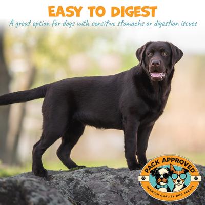 Lamb Tripe Dehydrated Dog Treats, 10-oz pack