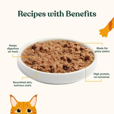 Turkey & Turkey Liver Recipe Grain-Free Minced Wet Cat Food, 5.5-oz can, case of 6