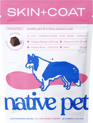 Skin & Coat Chews with Omega-3 Dry Skin Supplement for Dogs, 120 count