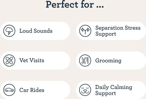 Chicken Flavored Quick Calm Melts Broad Spectrum Hemp Extract Calming Health Supplement for Large Dogs, 10 count