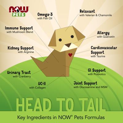 Kidney Support Dog & Cat Supplement, 4.2-fl oz bottle