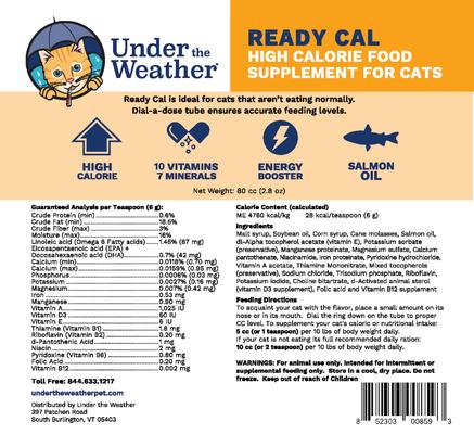 Ready Cal High Calorie Food Nutritional Gel Cat Supplement, 80-cc syringe