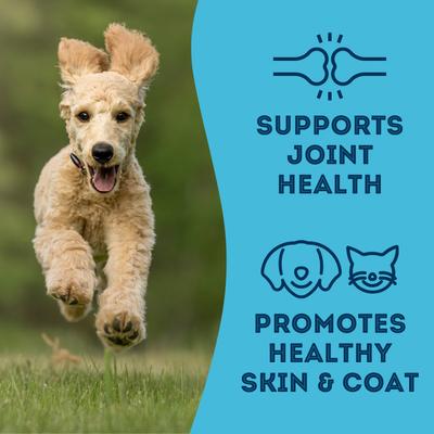 'With Love & Fishes Dehydrated Sardine Dog & Cat Treats, 3.17-oz bag