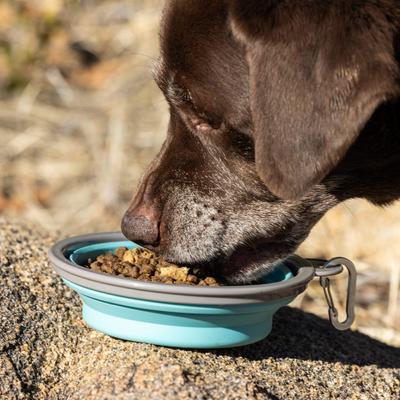 Raw Medley Beef & Sweet Potato Large Breed Adult Dry Dog Food, 20-lb bag