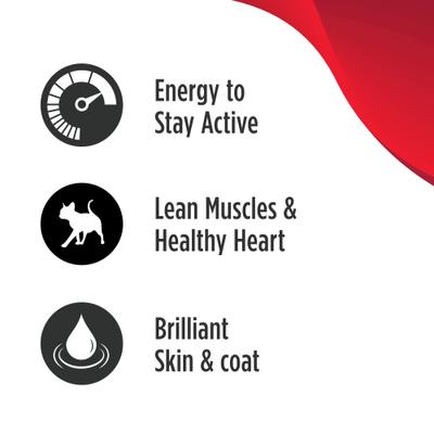 Raw Medley Chicken, Turkey & Duck Adult Dry Cat Food, 4-lb bag