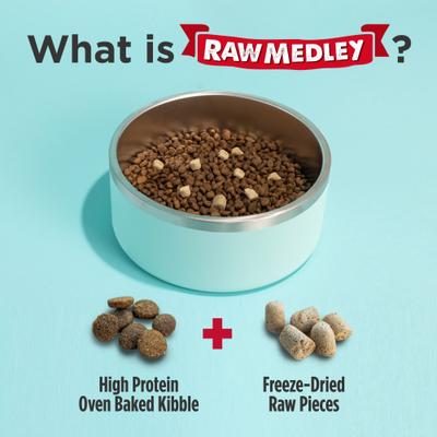 Raw Medley Turkey, Sweet Potato & Duck Small Breed Adult Dry Dog Food, 10-lb bag