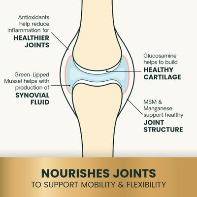 GlycoFlex Plus Ultimate Strength - Masticables con sabor a mantequilla de maní, glucosamina y condroitina, para caderas y articulaciones saludables, suplemento para perros medianos y grandes, 120 unidades