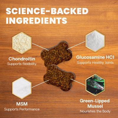 GlycoFlex Plus Ultimate Strength - Masticables con sabor a mantequilla de maní, glucosamina y condroitina, para caderas y articulaciones saludables, suplemento para perros medianos y grandes, 120 unidades