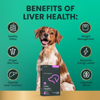 VETRI SAMe 225 S-Adenosyl-Methionine Liver Detox Supplement Tablets Liver Supplement for Medium & Large Breed Dogs, 30 count