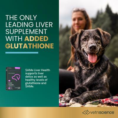 VETRI SAMe 225 S-Adenosyl-Methionine Liver Detox Supplement Tablets Liver Supplement for Medium & Large Breed Dogs, 30 count