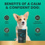 Composure Chicken Liver Flavored Soft Chews Calming & Anxiety Supplement for Small Dogs, 30 count