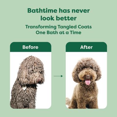 3-in-1 Detangling Dog Shampoo & Conditioner, White Tea & Basil Scent, 16-fl oz bottle