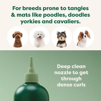 3-in-1 Detangling Dog Shampoo & Conditioner, White Tea & Basil Scent, 16-fl oz bottle