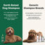 3-in-1 Detangling Dog Shampoo & Conditioner, White Tea & Basil Scent, 16-fl oz bottle