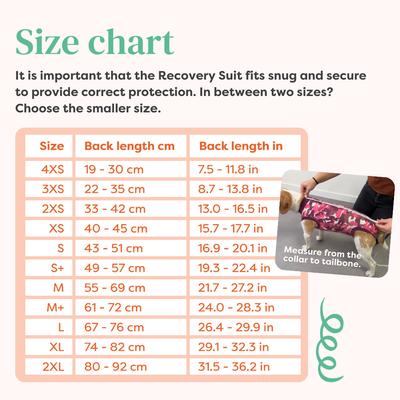 Traje de recuperación para perros, camuflaje rosa, talla mediana