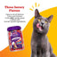 Puree Chicken & Meat Flavored Cat Treats, 48 count