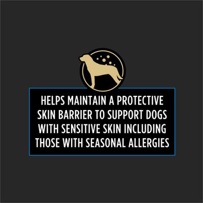 Skin Care Soft Chew Supplement for Dogs, 60 count