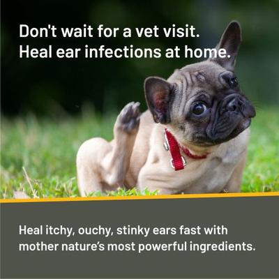 Rapid Ear Care Manuka Honey & MicroSilver BG Vet Strength Dog & Cat Ear Cleaner